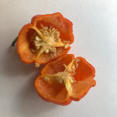 MA Wartryx - Seeds - The Pepper Pantry (Formerly Marie Sharp's)